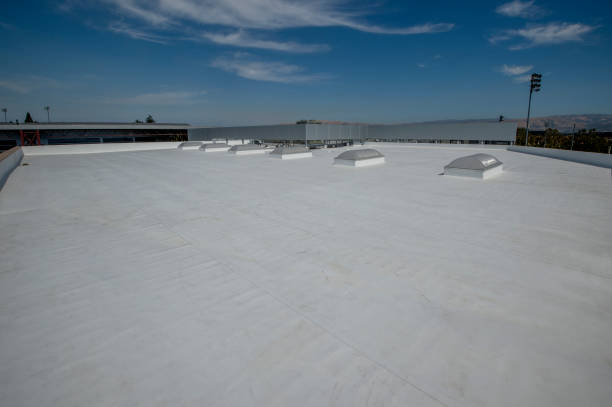 Best Rubber Roofing (EPDM, TPO)  in Sheboygan Falls, WI