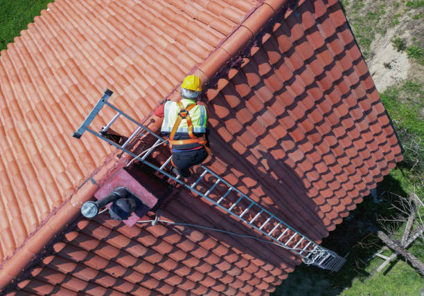 Best Roof Maintenance and Cleaning  in Sheboygan Falls, WI