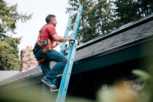 Best Steel Roofing  in Sheboygan Falls, WI
