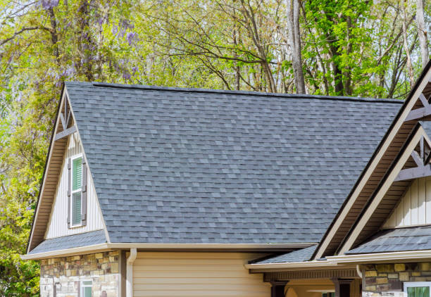 Best Roof Moss and Algae Removal  in Sheboygan Falls, WI